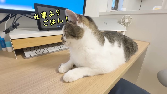 仕事よりごはん!