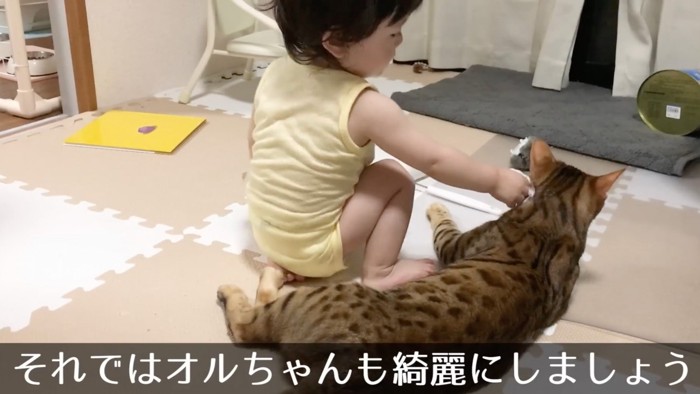 拭かれる猫