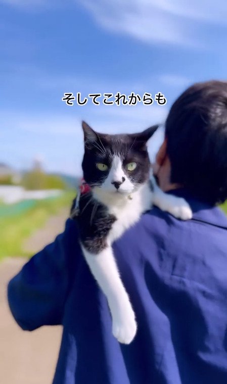 飼い主さんの肩に乗る猫