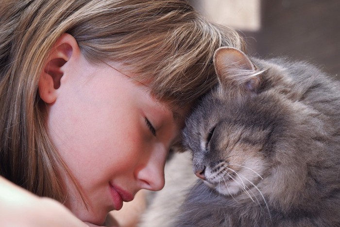 少女と子猫