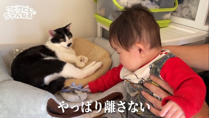 やっぱり離さないの文字と猫と赤ちゃん