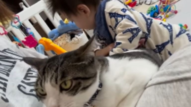赤ちゃんと猫