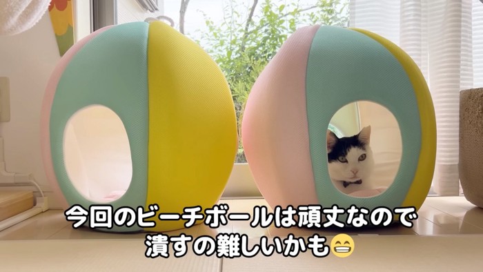 ベッドにはいったホルンくん