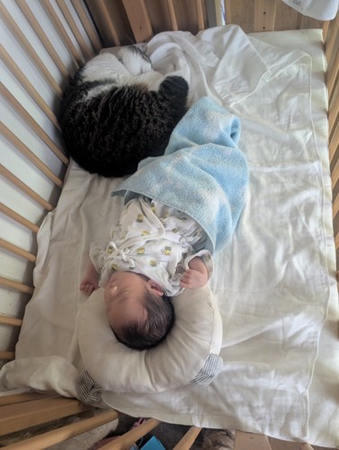 赤ちゃんの足元で眠る猫