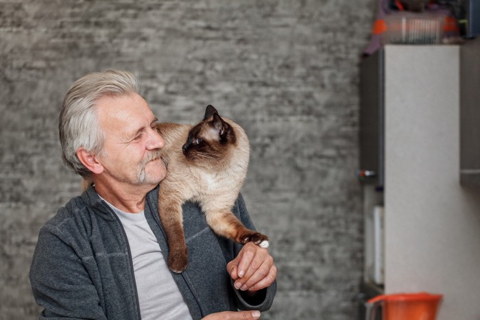 男性の方の上に乗る猫