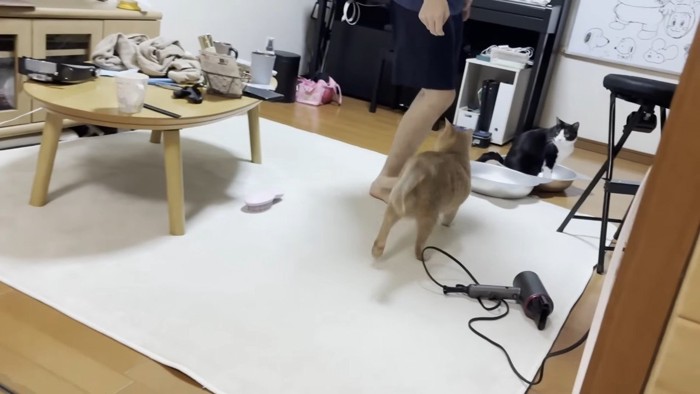 足元に