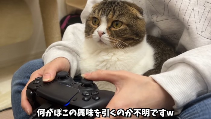 ゲームコントローラーを持つ人と猫