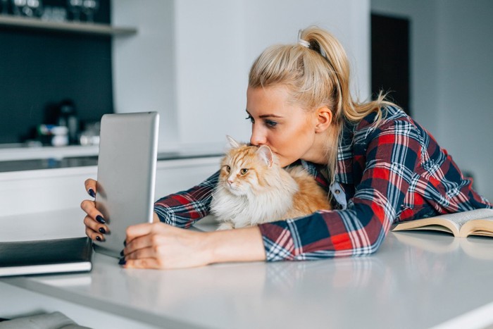 タブレットを一緒に除く女性と猫