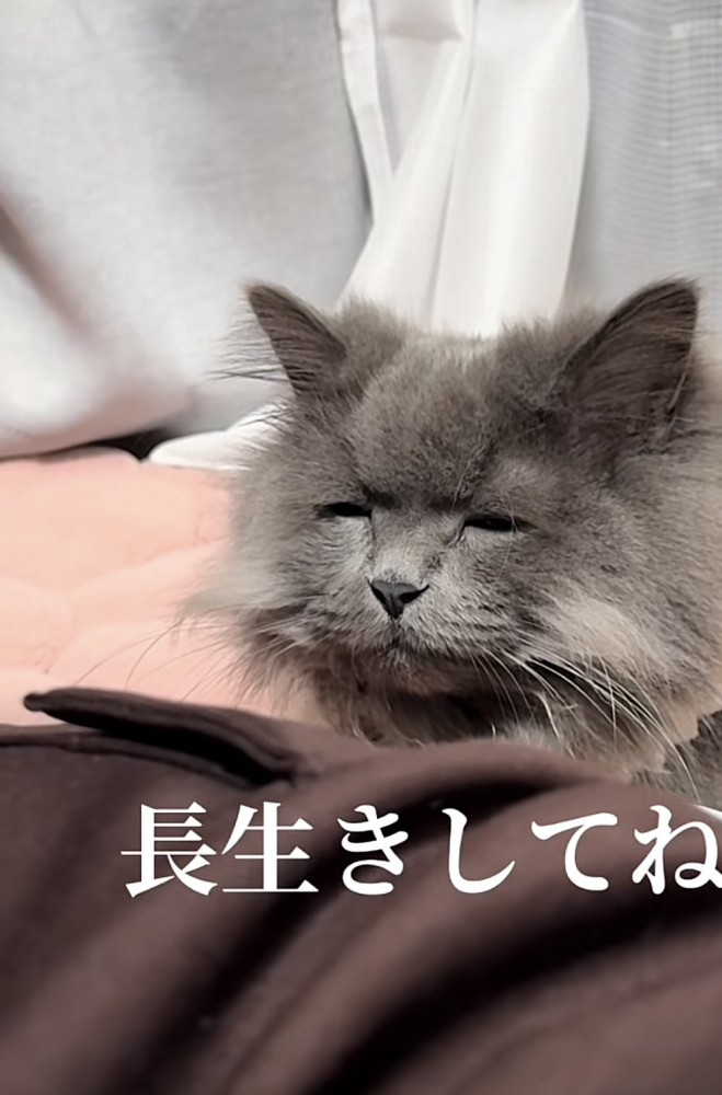 「長生きしてね」のテロップ写真3