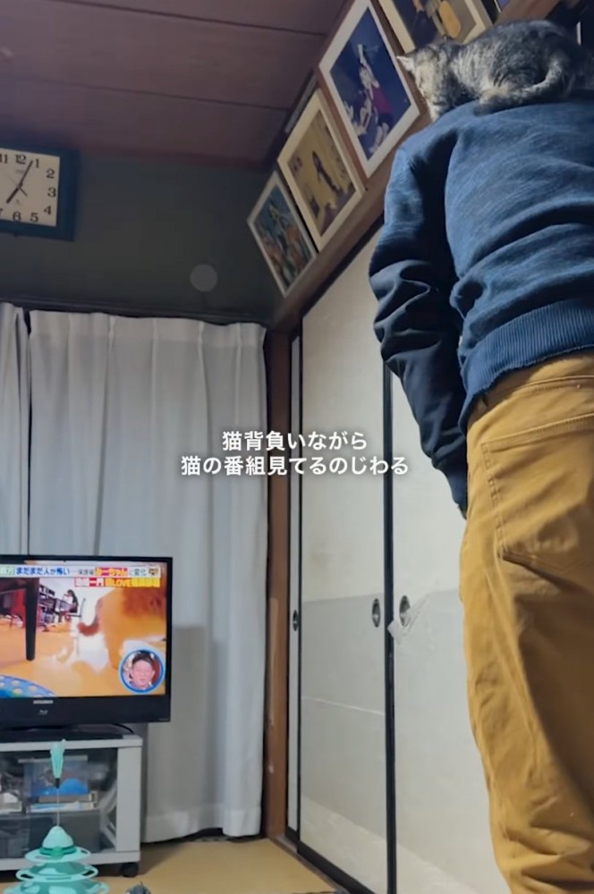 テレビを見るお父さん