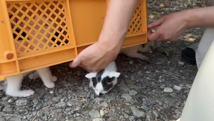 コンテナ