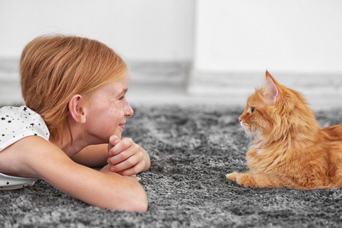 向かい合う茶トラ猫と茶色の髪の子供