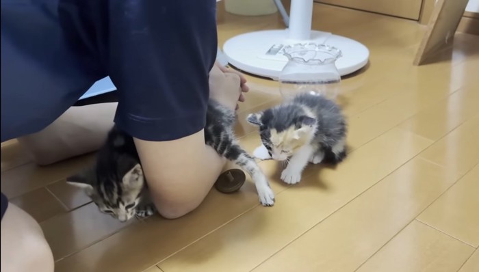 腕の中に