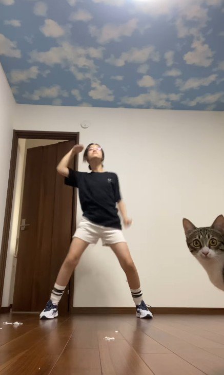 ダンス中の人と猫