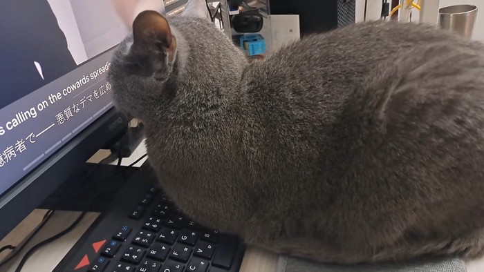 横から