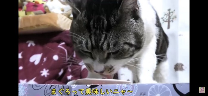 食べる