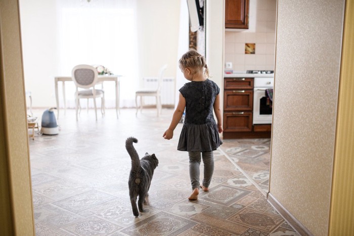 女の子と歩く猫