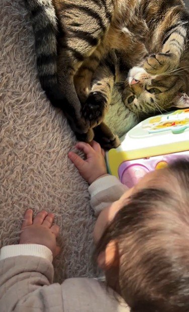 床に寝ている猫と赤ちゃん