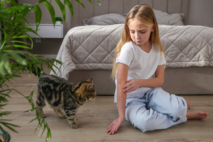 少女と猫
