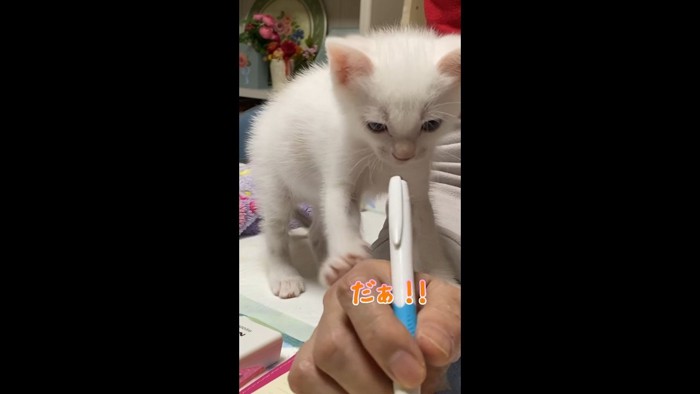 だぁ！！