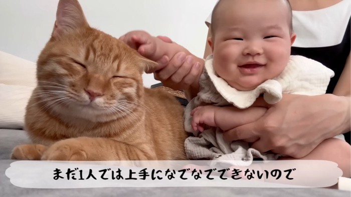 赤ちゃんに撫でられる猫