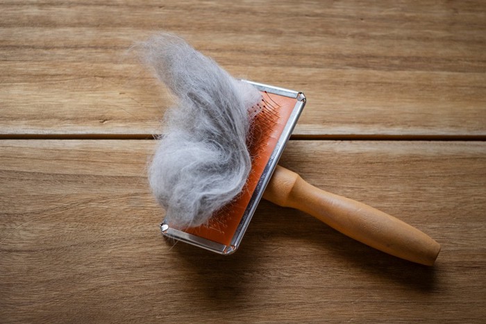 抜け毛がついたブラシ