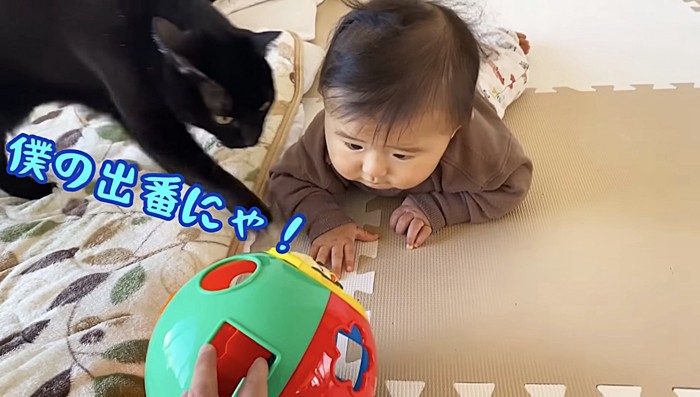 赤ちゃんに駆け寄る猫