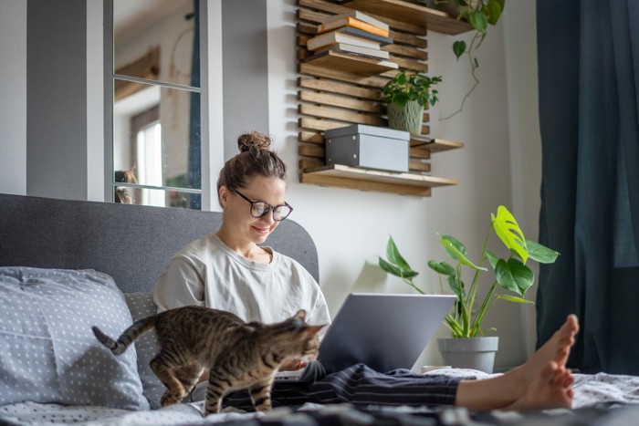 ハウスシッターの女性と遊ぶ猫