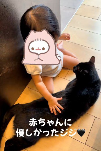 床に寝そべっている猫と座っている赤ちゃん
