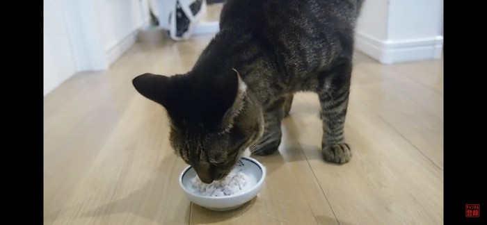 食べる