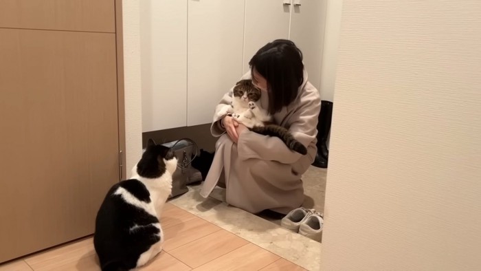 抱っこされる猫と座る猫