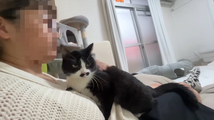 膝に乗るくろまめちゃん