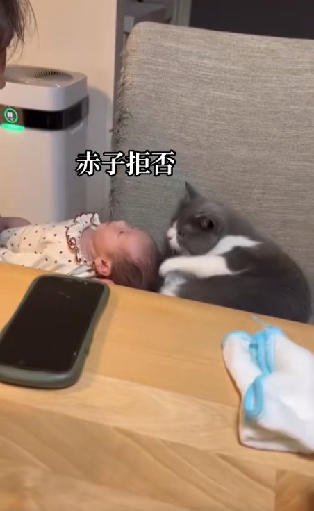 赤ちゃんの頭の近くで左前足を軽く伸ばして半目になっている猫
