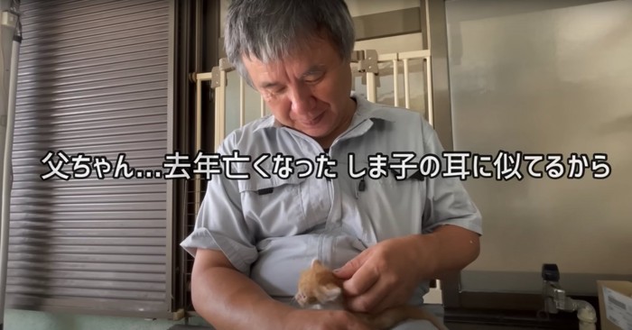 保護主の膝の上で撫でられる子猫