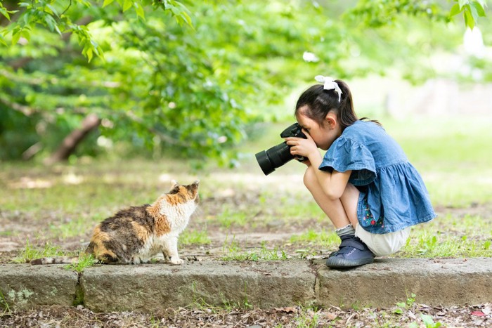猫を撮影する女の子