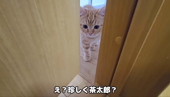 ドアの前に