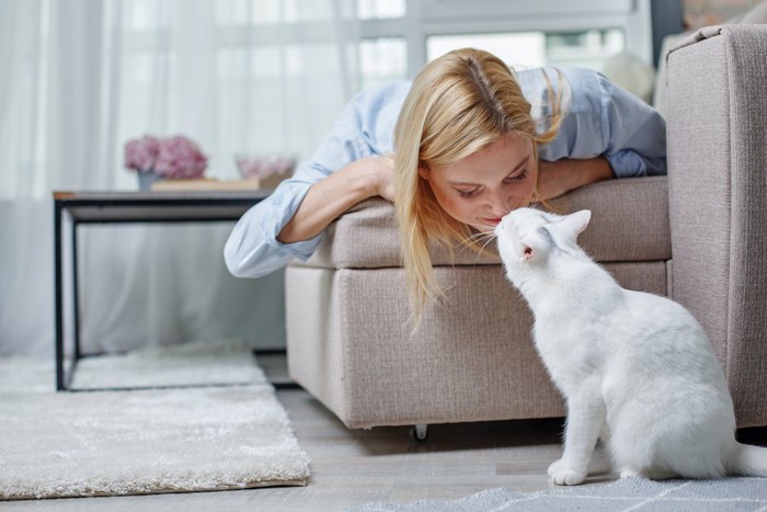 ソファーの上の女性と鼻チューをする猫