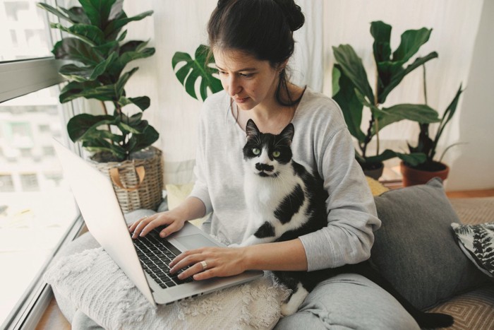 窓際の女性と猫