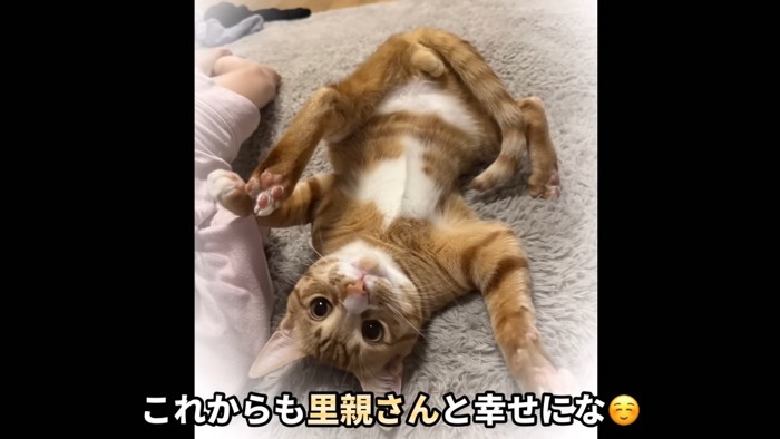 テロップ「これからも里親さんと~」