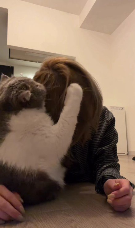 飼い主の頭に顔を寄せる猫