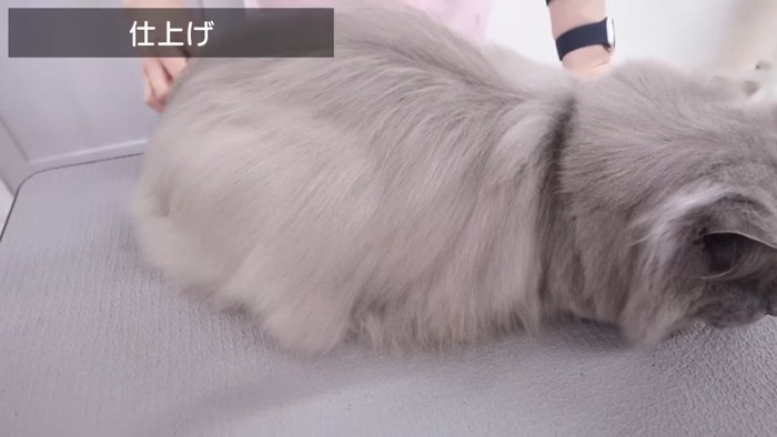 仕上げ