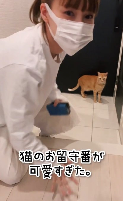 猫のお留守番が可愛すぎた