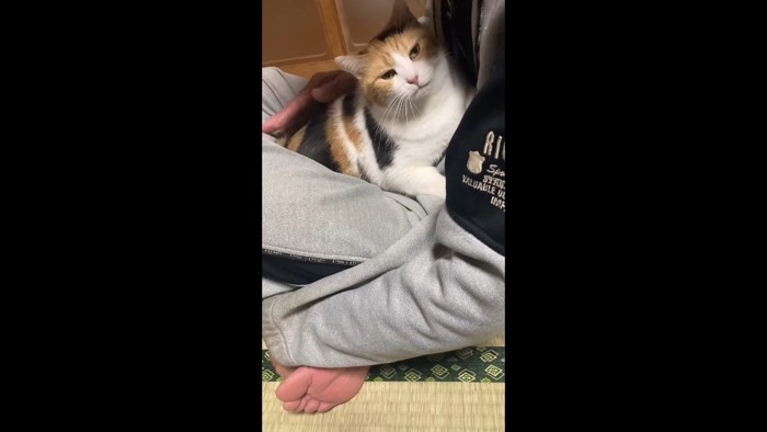 カメラ目線