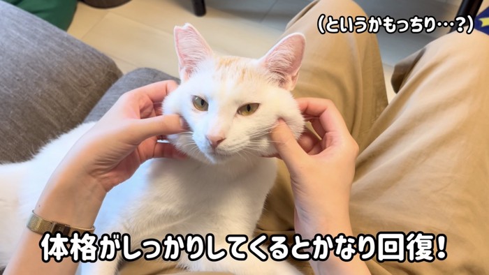 「体格がしっかりしてくると～」のテロップ写真