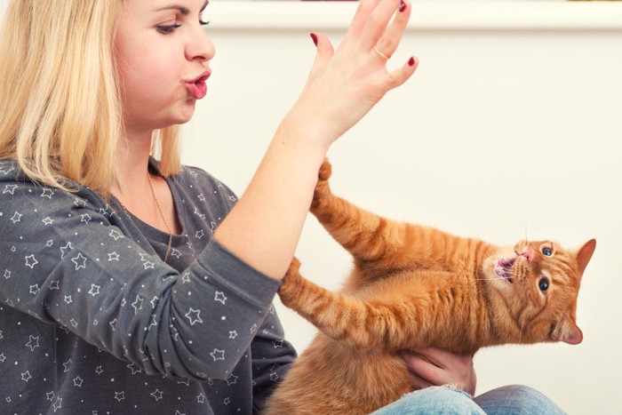 触ろうとする手を拒否する猫