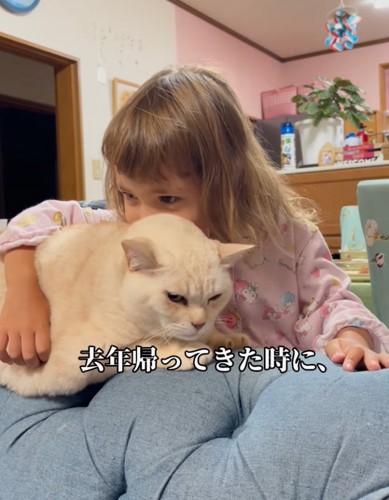 猫と触れ合う女の子