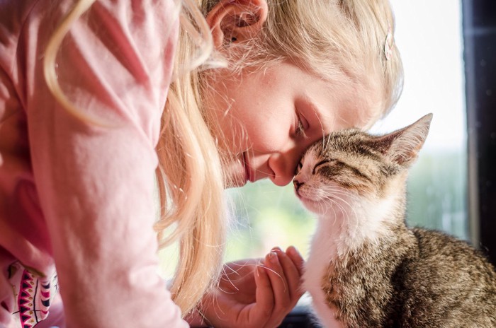 少女と猫