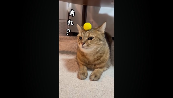 あれ?