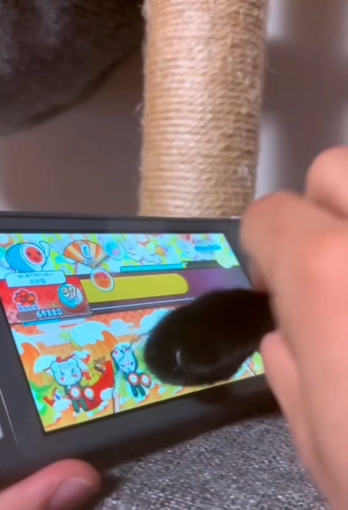 ゲームする猫の手2