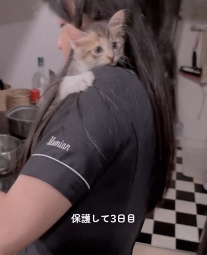 服に掴まる猫ちゃん